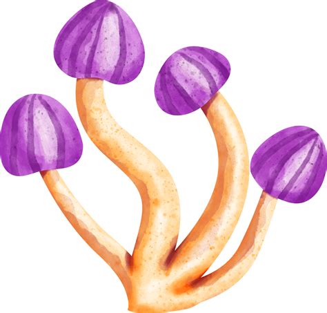 Watercolor Poison Mushroom 36912036 Png