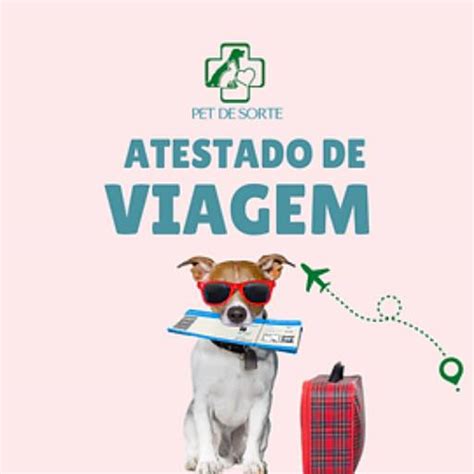 Atestado De Sa De Pet Para Viagens Nacionais E Internacionais Em