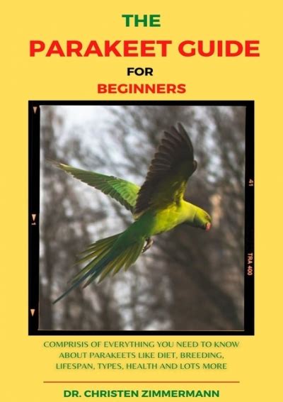 The Parakeet Guide For Beginners Comprisis Of Everything You Need To