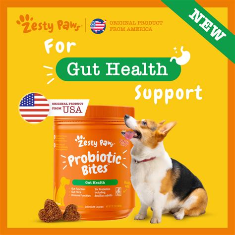 Zesty Paws Probiotic Bites For Dogs Gut Health Pumpkin Flavor 250