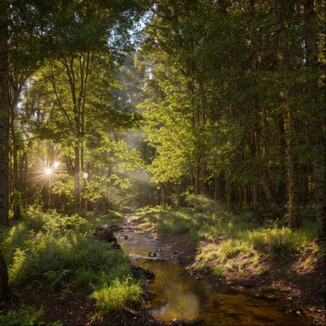 uhh this is just nature, nothing special : r/btd6