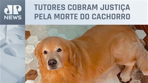 Caso Do C O Joca Donos De Pets Fazem Manifesta O Em Aeroporto De