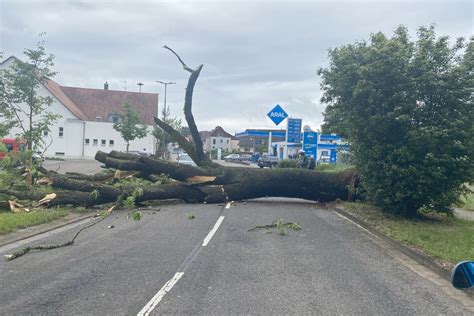 Unwetter lässt Baum auf Straße stürzen Einwohner haben großes Glück