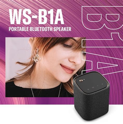 Ws B1a รายละเอียดโดยย่อ เครื่องเสียง Desktop Audio เครื่องเสียง