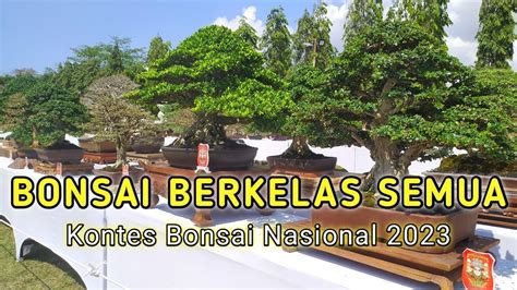 Bajra Sandhi Bali Pameran Dan Kontes Bonsai Nasional Youtube