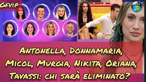 Gfvip Aggiornamento Antonella Donnamaria Micol Murgia Nikita