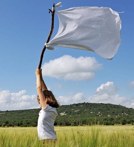 What’s in a Flag? A Brief Introduction to Vexillology | Glocal Notes ...