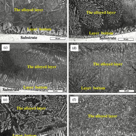 Om Micrographs Of The Cross Section Microstructure Of The Specimens