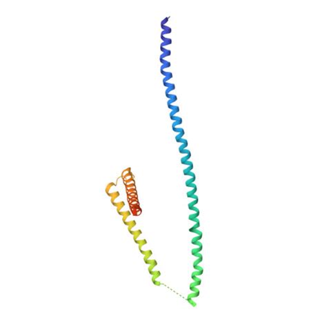 Rcsb Pdb 5cws Crystal Structure Of The Intact Chaetomium