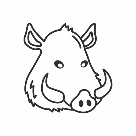 Wild Boar Face Drawing