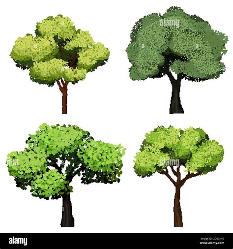 Trees Realistic Nature Garden Botanical Collection Trees With Green