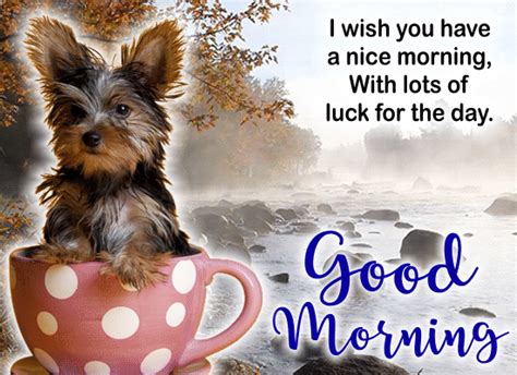 Good Morning Yorkie