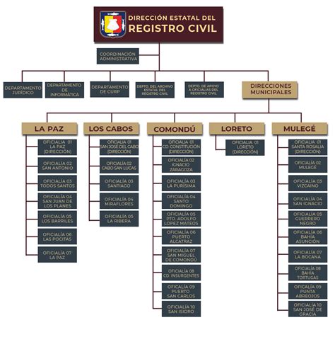 Organigrama Registro Civil Del Estado De Baja California Sur