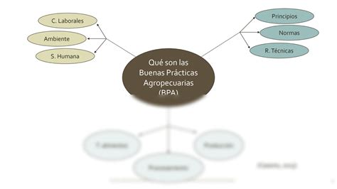 SOLUTION Buenas Practicas Agr Colas Certificaciones Y Bbch Studypool