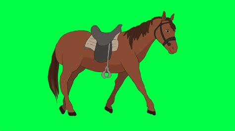 Horse Green Background Stock Video Footage for Free Download