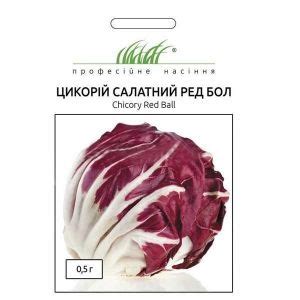 Купить Цикорий салатный Ред Бол Цена, фото, описание, отзывы ...