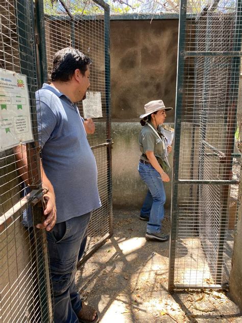 Profepa Asegura Todos Los Animales De Ecoparc En Colima Procuraduria