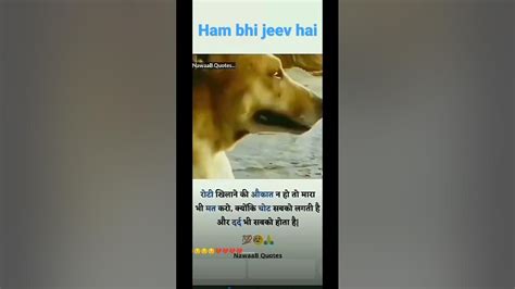 Sabase Jyada Wafadar Kutta Hi Hota Hai Youtube