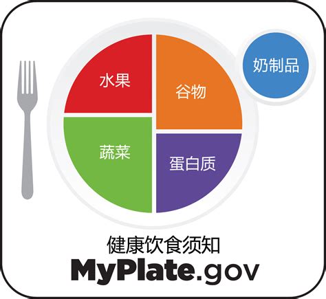 Usda Myplate In Multiple Languages