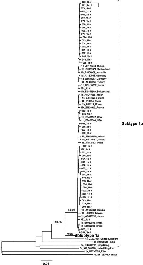 ML Phylogenetic Tree Based On HCV Sequences Of Subtype 1b And