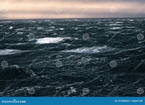 Kara Sea (basin of Arctic Ocean) in High Arctic Stock Image - Image of ...