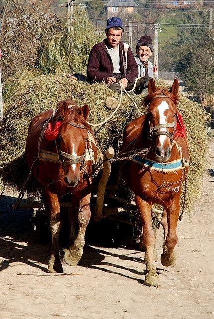 Exemplo Pa S Pro Be Carro As Puxadas Por Cavalos E Burros