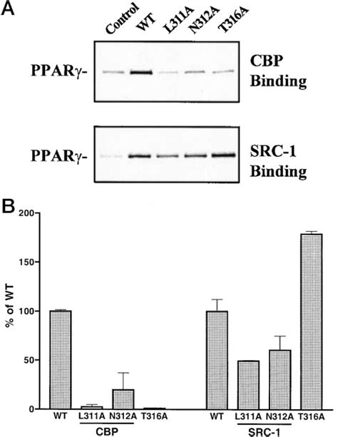 Both Coactivator Lxxll Motif Dependent And Independent Interactions