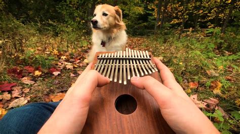 8 Best Kalimba Thumb Pianos For Beginners