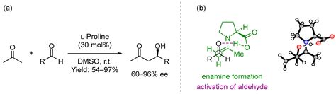 Catalysts | Free Full-Text | Asymmetric Dual Enamine Catalysis/Hydrogen ...