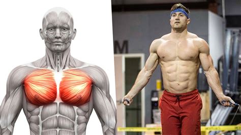 9 Best Chest Exercises For Maximum Muscle Growth Boxrox