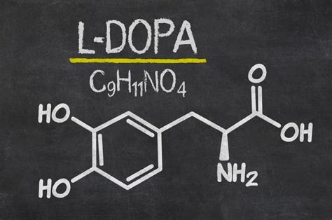 L-DOPA (Levodopa) Uses, Dosage & Mechanism of Action - SelfHacked