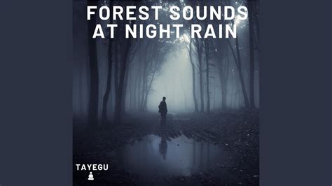 Forest Sounds At Night Rain Frogs Crickets And Owl Rainforest Frog