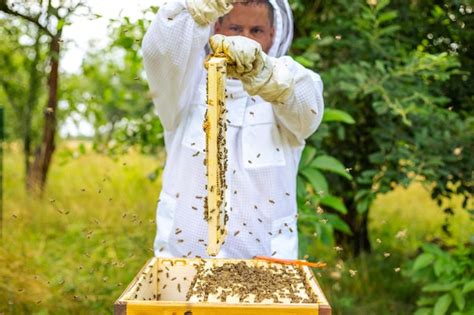 Premium Photo Beekeeper Holding A Honeycomb Full Of Bees Professional