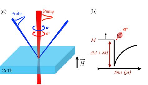 Figure 1 From Resolving The Role Of Magnetic Circular Dichroism In