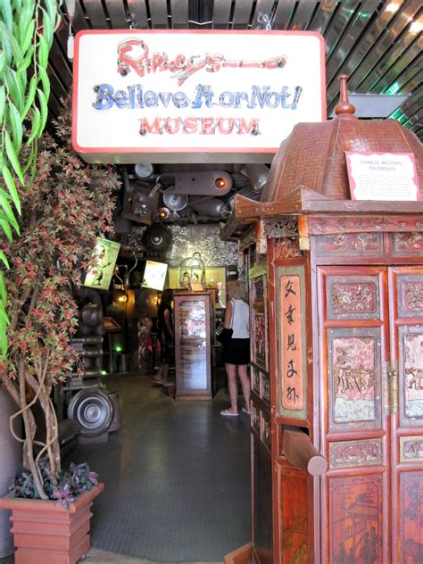 This visitor guide explains the best spots in downsview dells park 26