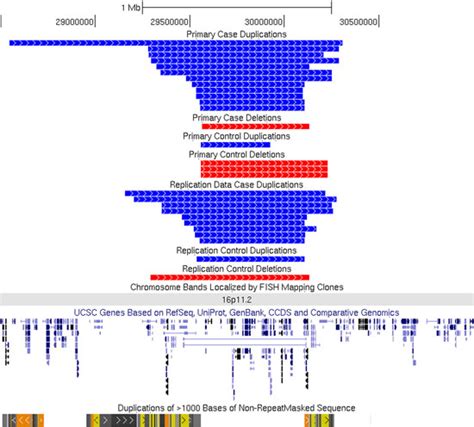 Chromosome 16 duplications tightly linked to schizophrenia | Spectrum ...