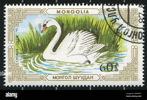 MONGOLIA CIRCA 1987 Stamp Printed By Mongolia Shows Swan Circa