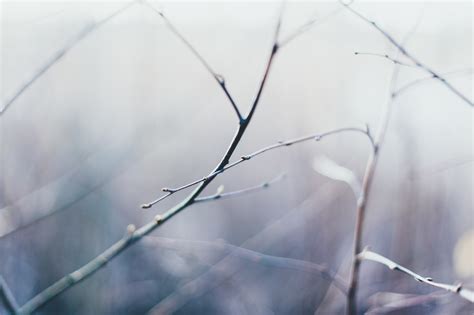 Hintergrundbilder Sonnenlicht B Ume Wasser Natur Himmel Winter