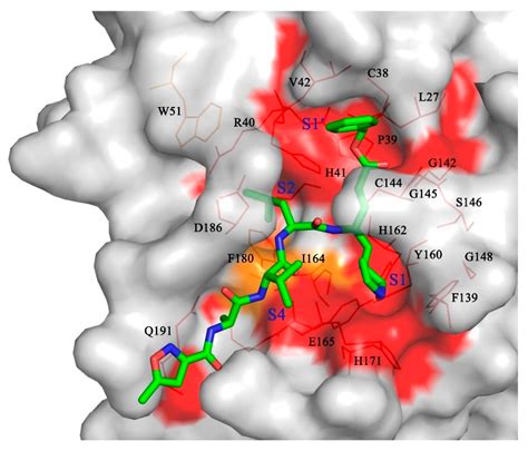 Viruses Free Full Text The Structure Of The Porcine