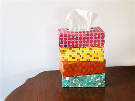 Making Things From Empty Tissue Boxes Loulou