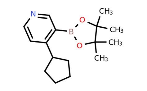 CAS 2223027 49 2 4 Cyclopentyl 3 4 4 5 5 Tetramethyl 1 3 2