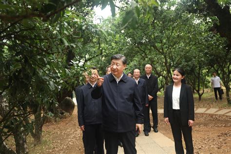 习近平在茂名市考察调研 时政 人民网