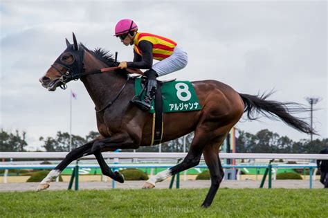 【きさらぎ賞】川田「また改めてです」アルジャンナは圧倒的人気も3着敗退 競馬ニュースなら競馬のおはなし