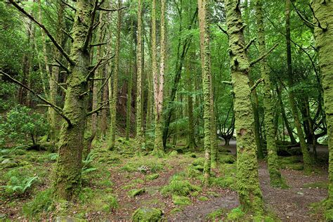 Killarney National Park by Maremagnum