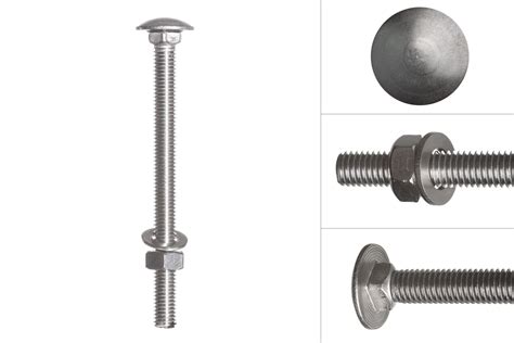 Carriage Bolts Stainless Steel M X Mm Quick Delivery