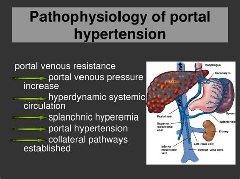 Portal Venous Hypertension