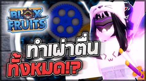 Blox Fruits สตรีมทำเผ่า V4 ทุกเผ่า ก็เหมือนเหลือแค่ 2 เผ่า 👽 Youtube