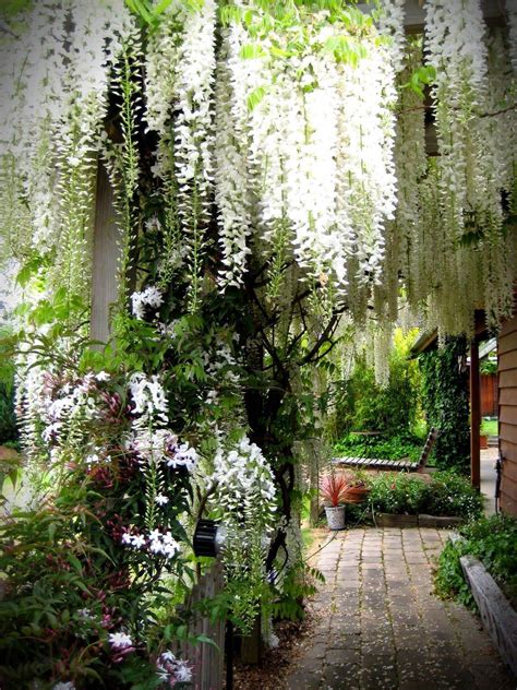 23 Moon Garden Design Ideas You Cannot Miss | SharonSable