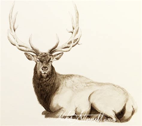 Elk Sketch At Explore Collection Of Elk Sketch