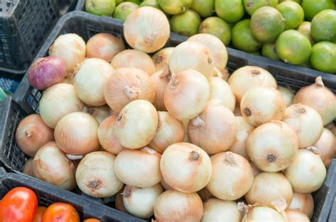 Texas Super Sweet Onion Plants Sunbelt Transplants